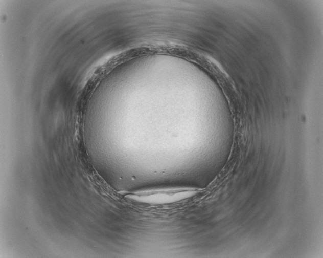 X0000087551016200705112116