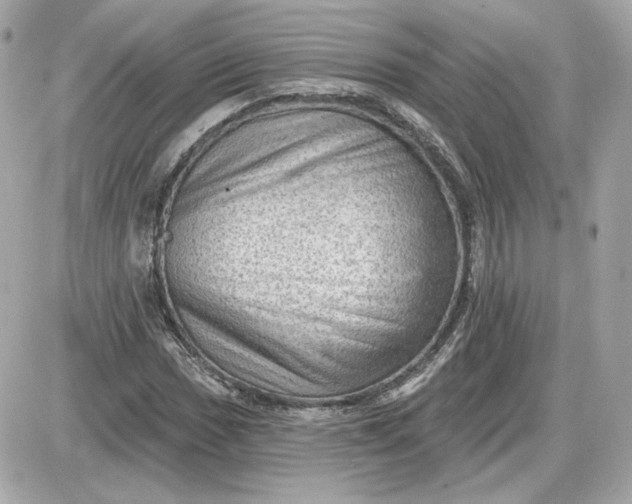 X0000087551017200705112116