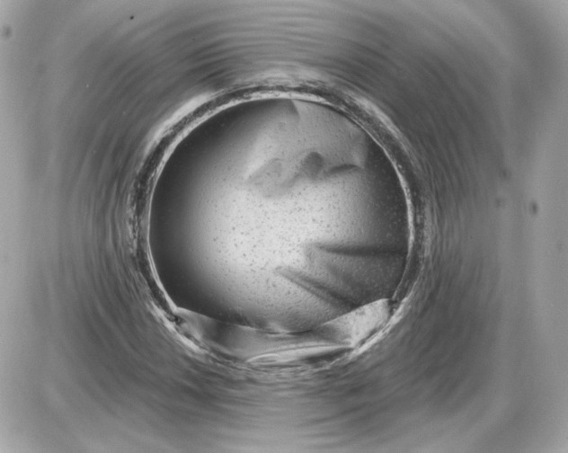 X0000087551018200705112116