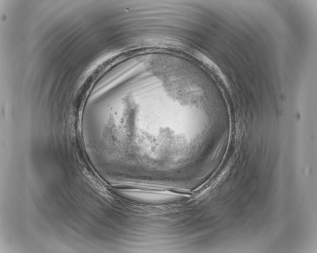 X0000087551019200705112116