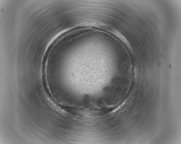 X0000087551020200705112116