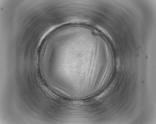 X0000087551021200705112116