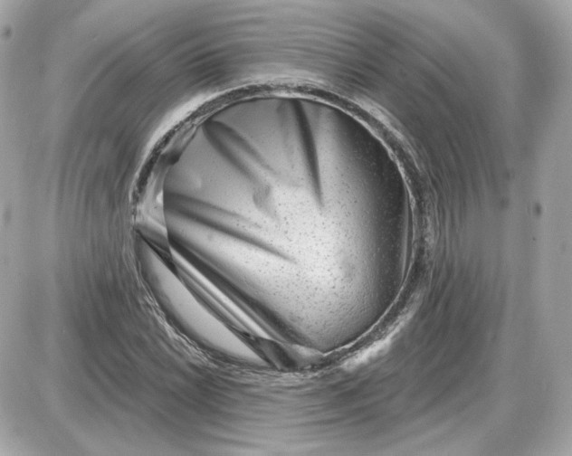 X0000087551022200705112116