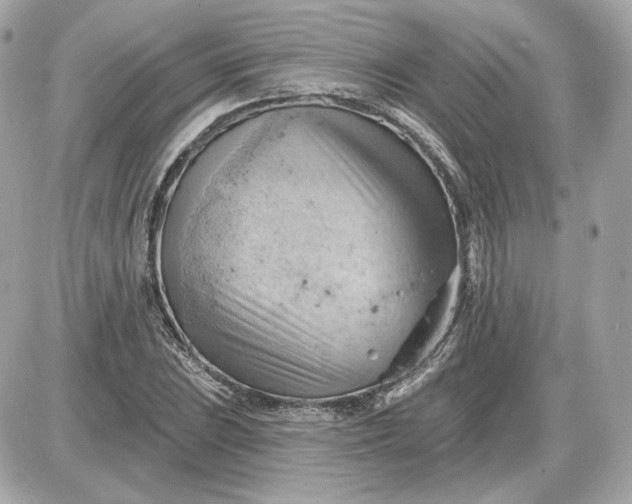 X0000087551023200705112116