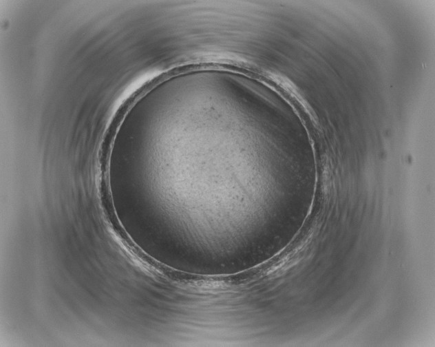 X0000087551024200705112116