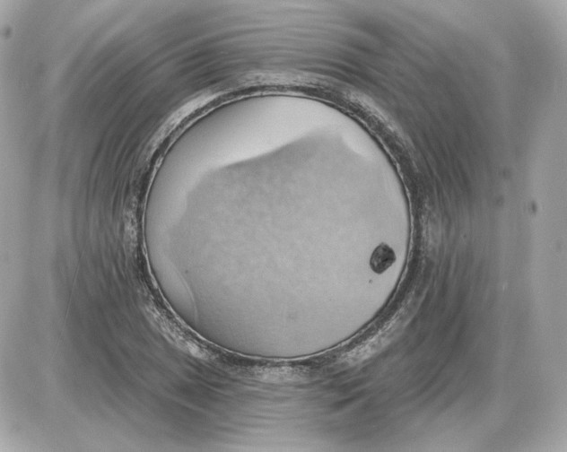 X0000087551025200705112116