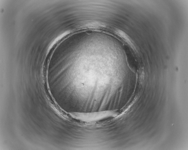 X0000087551026200705112116