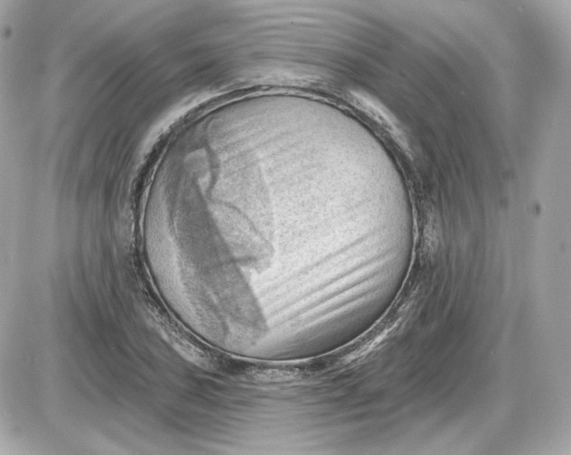 X0000087551027200705112116