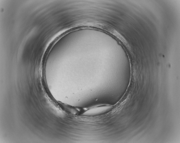 X0000087551028200705112116