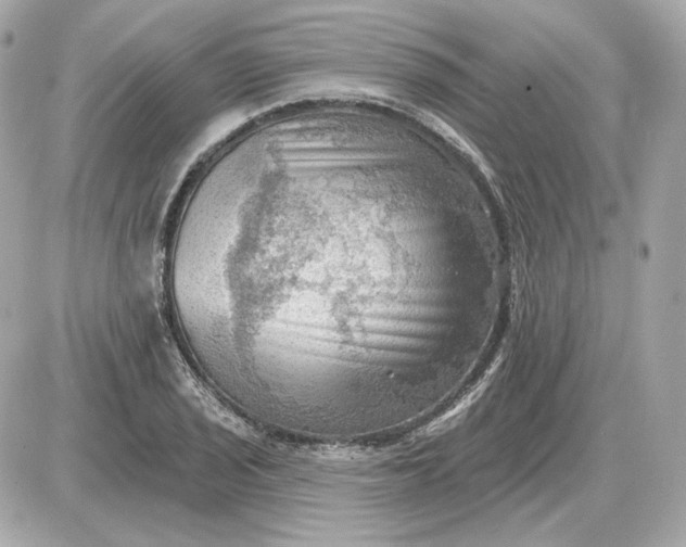 X0000087551029200705112116