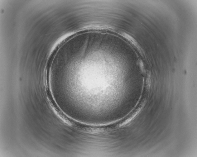 X0000087551030200705112116