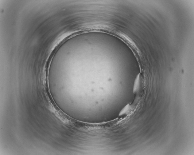 X0000087551031200705112116