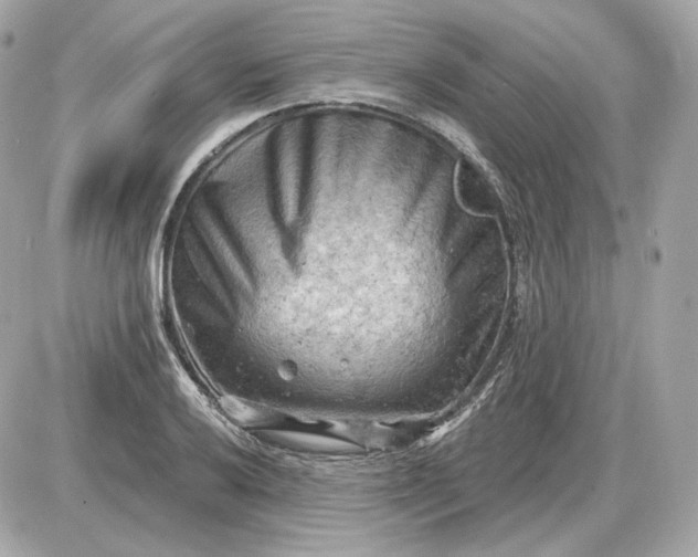 X0000087551032200705112116