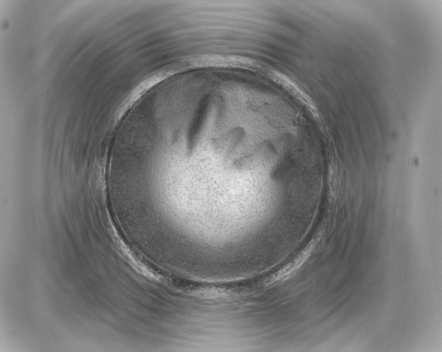 X0000087551033200705112116