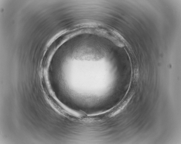 X0000087551034200705112116