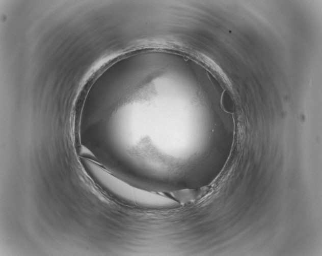 X0000087551035200705112116