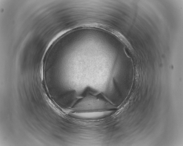 X0000087551036200705112116