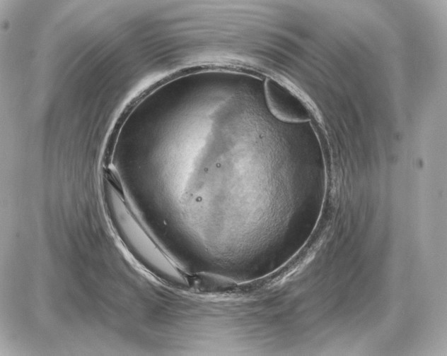 X0000087551037200705112116