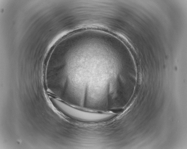 X0000087551038200705112116