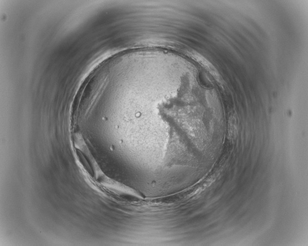 X0000087551039200705112116