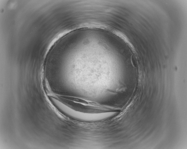 X0000087551040200705112116