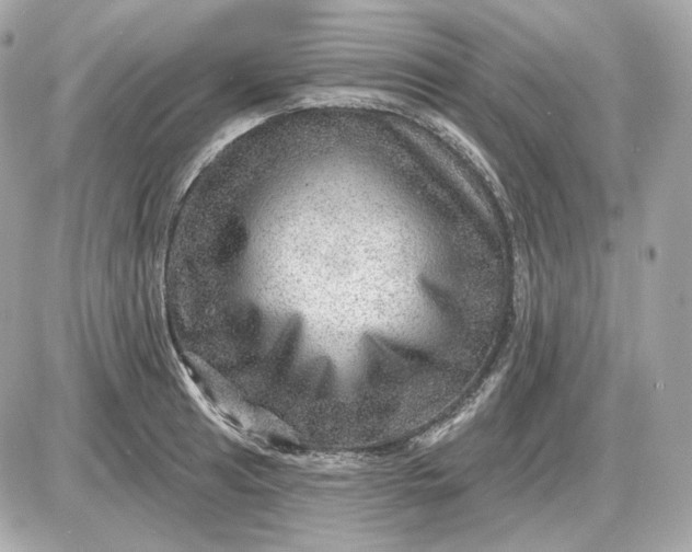 X0000087551041200705112116