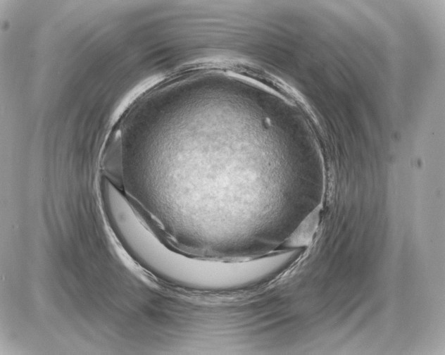 X0000087551042200705112116