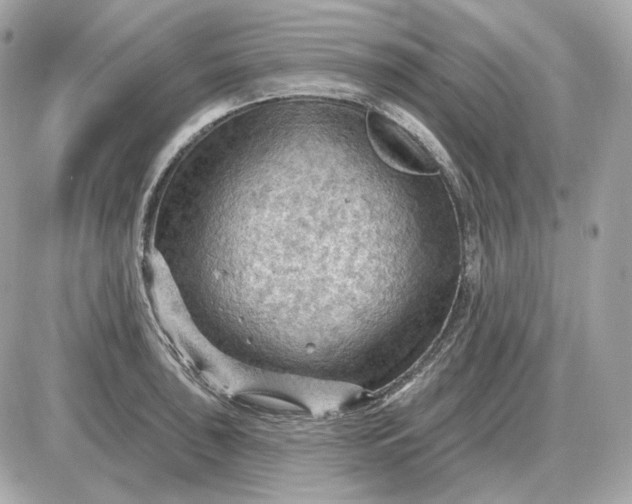 X0000087551043200705112116