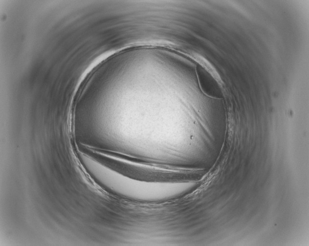 X0000087551044200705112116