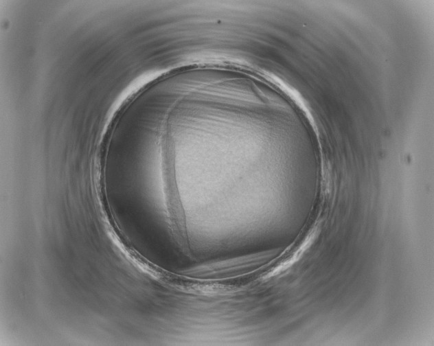 X0000087551045200705112116