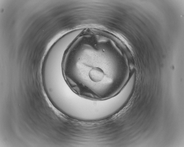 X0000087551046200705112116