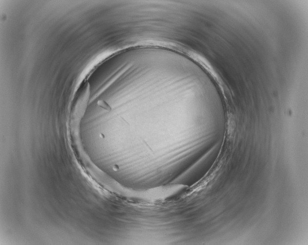 X0000087551048200705112116