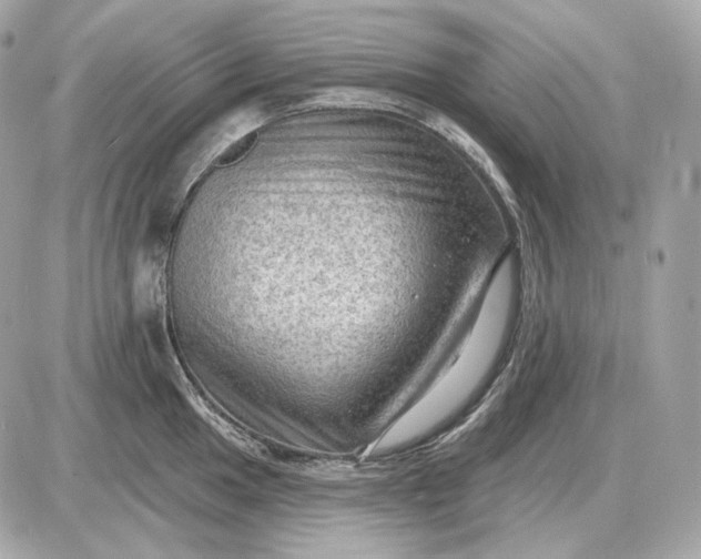 X0000087551049200705112116