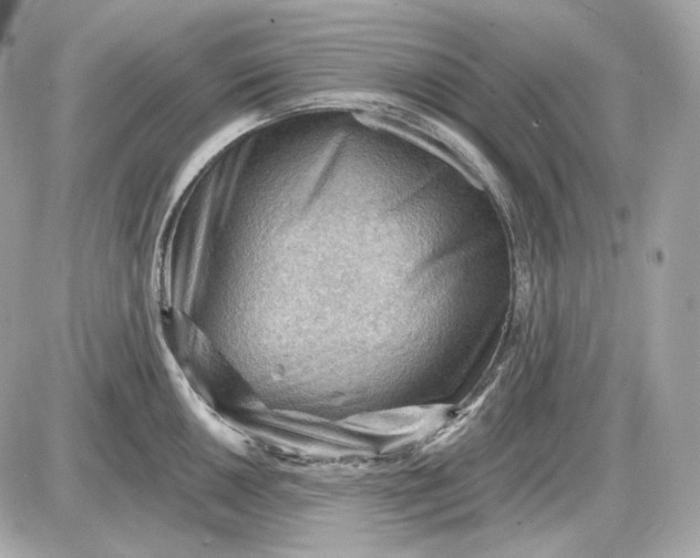 X0000087551050200705112116