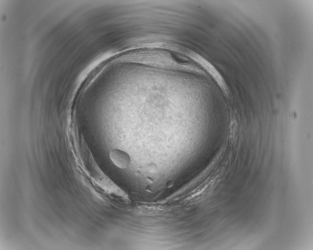 X0000087551051200705112116