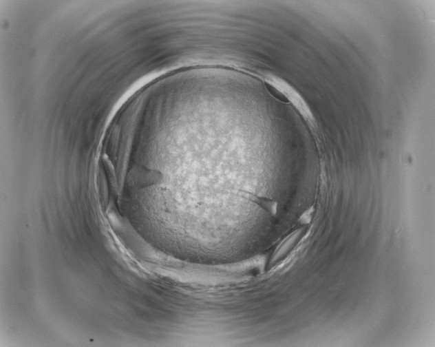 X0000087551052200705112116