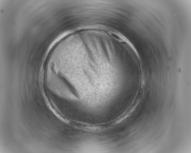 X0000087551053200705112116