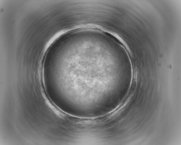 X0000087551054200705112116