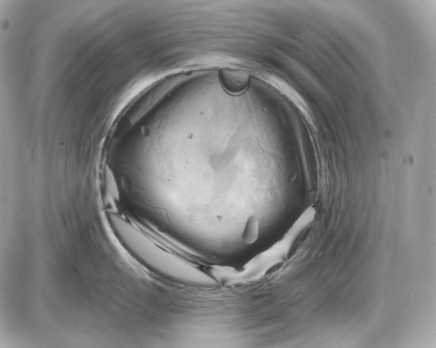 X0000087551055200705112116