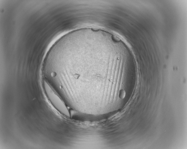 X0000087551056200705112116