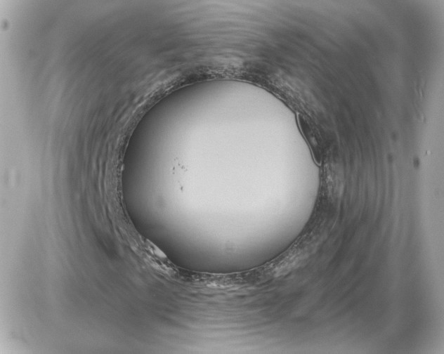 X0000087551057200705112116