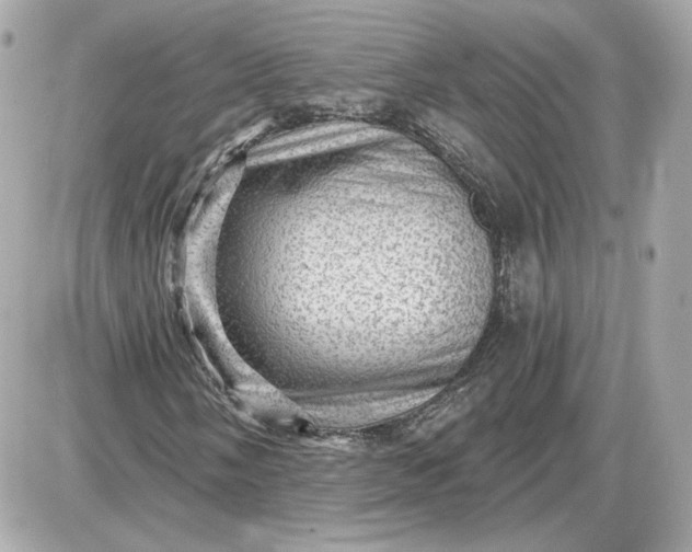 X0000087551058200705112116