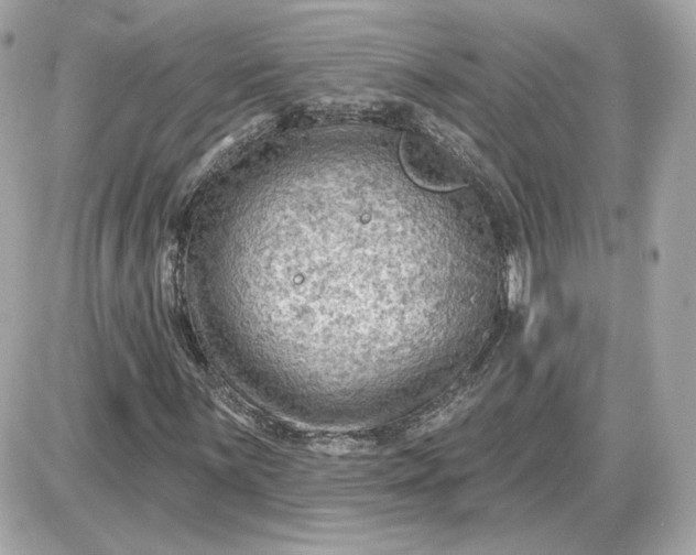 X0000087551059200705112116