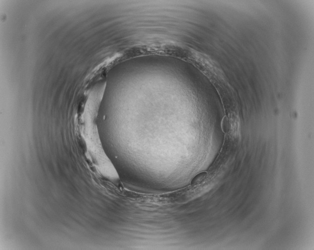 X0000087551060200705112116