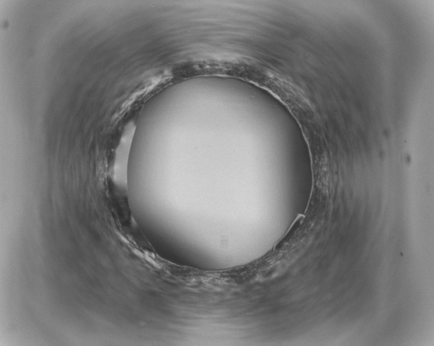 X0000087551061200705112116