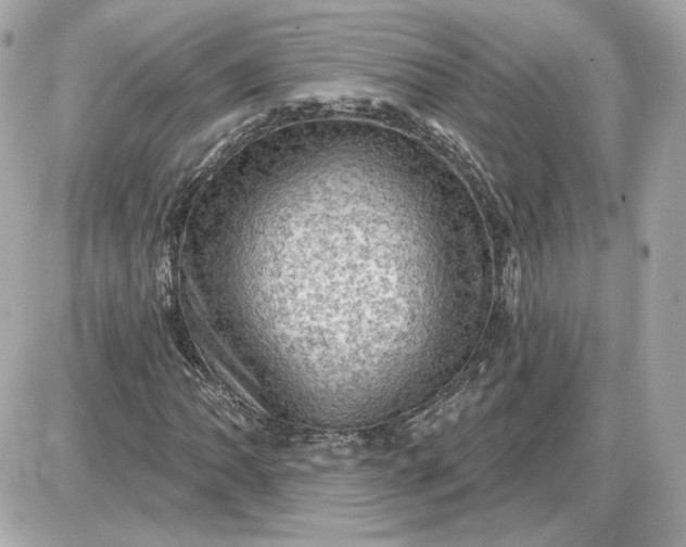 X0000087551062200705112116