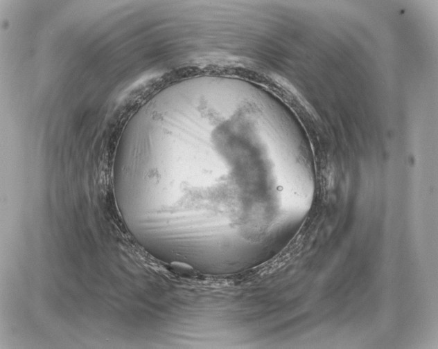 X0000087551063200705112116