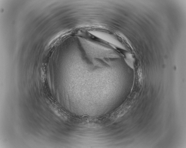 X0000087551064200705112116