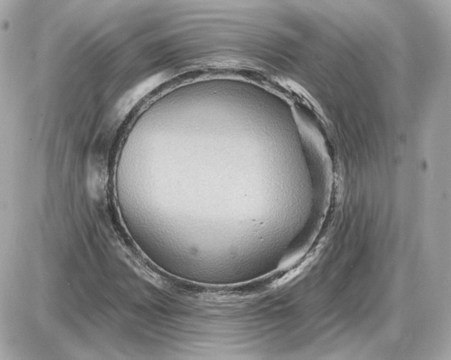 X0000087551065200705112116