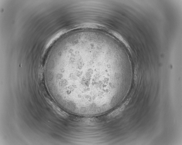 X0000087551067200705112116